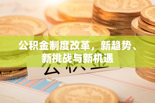 西贡公积金制度改革，新趋势、新挑战与新机遇