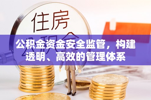 西贡公积金资金安全监管，构建透明、高效的管理体系